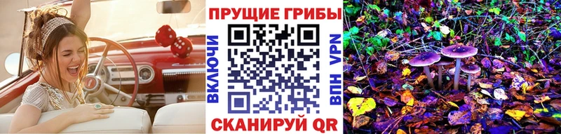 Купить закладки  Избербаш  Галлюциногенные грибы мухоморы 